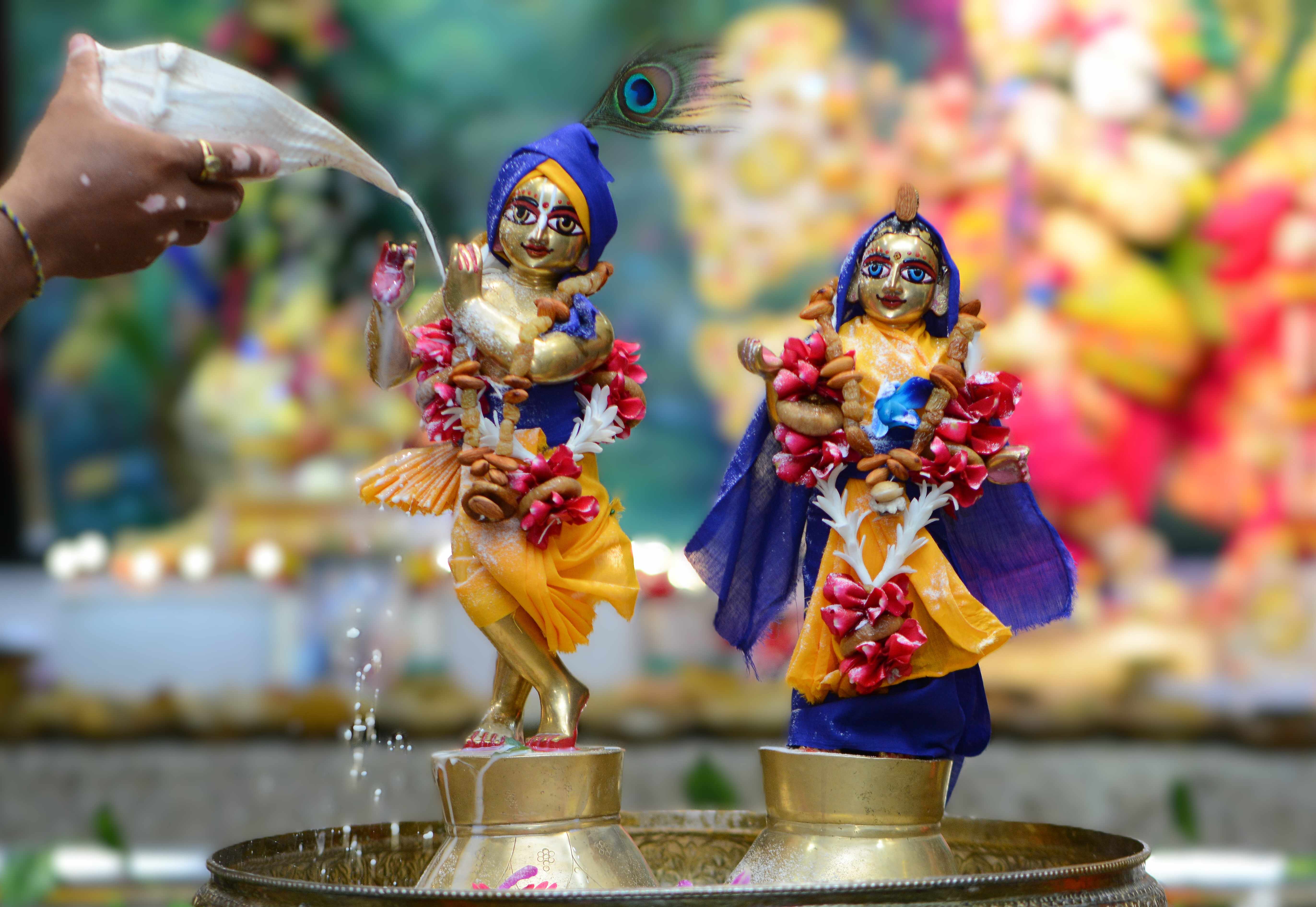 Sri Sri Radha Gopinath Abhishek (Sri Sri Radha-Krishna)